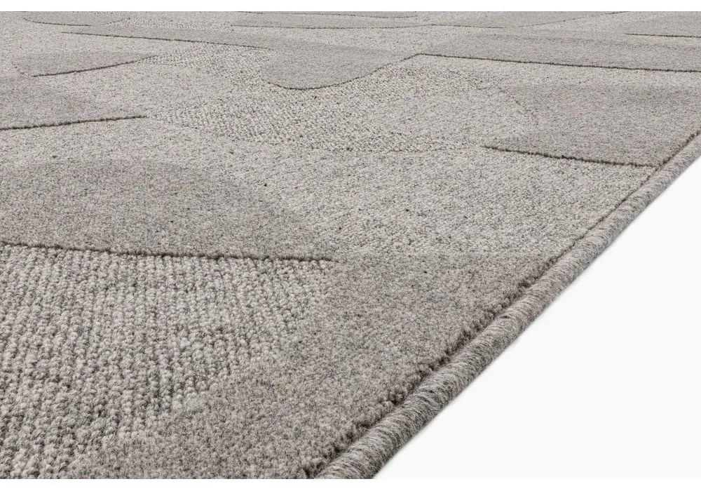 Sivý vlnený koberec 200x300 cm Morphic Botanica – Agnella