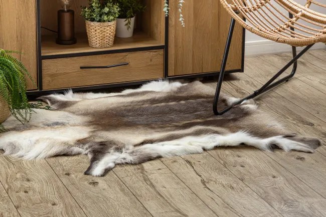 Koberec RENIFER POK008 hnedý / béžový