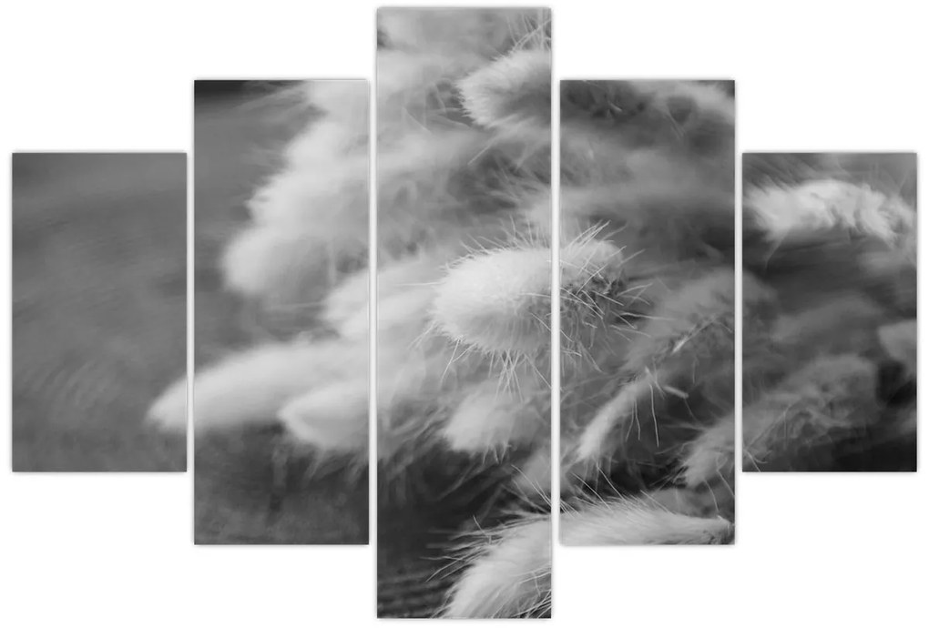 Obraz - bunny tail grass na stole (150x105 cm)