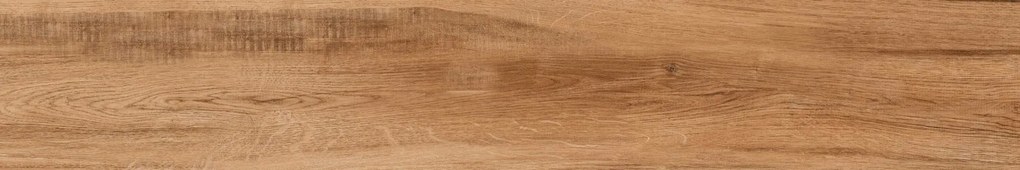 Dlažba Horse Brown 20x120 R 8mm