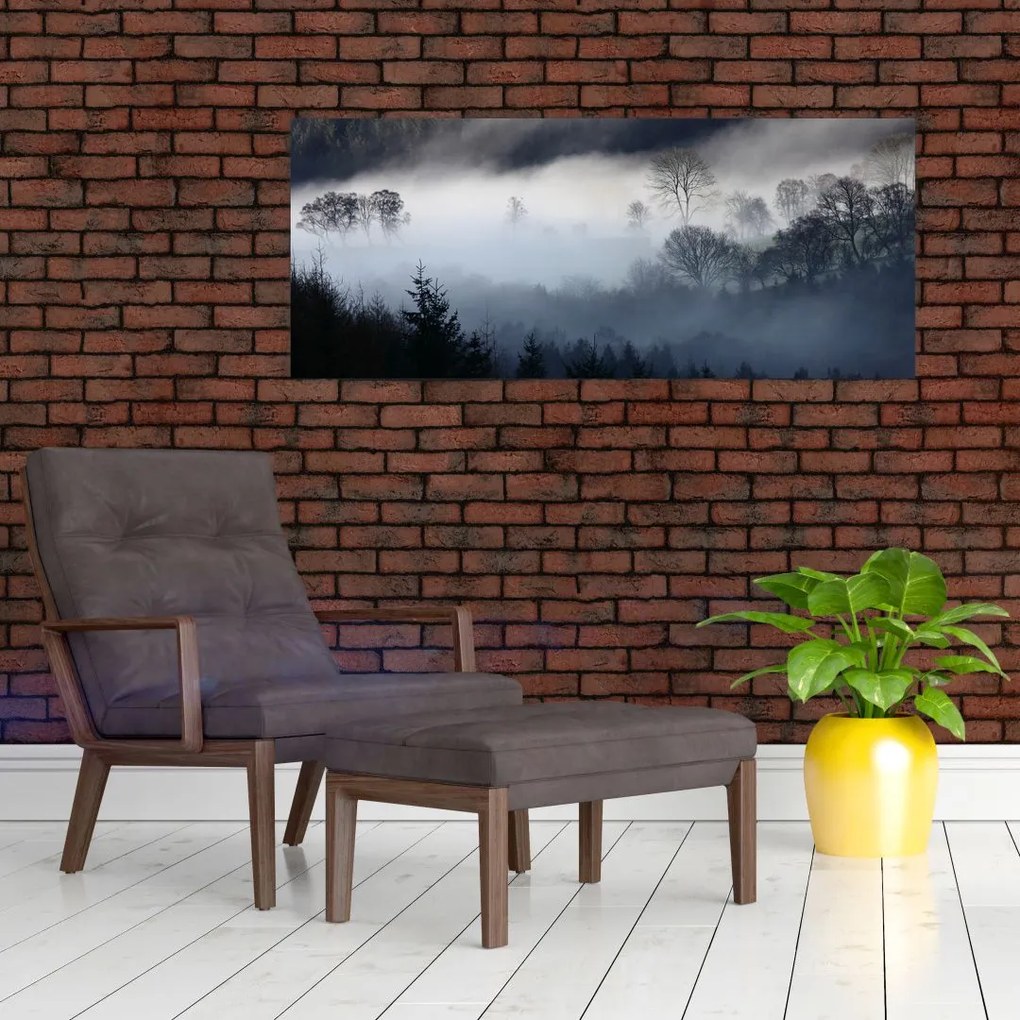 Obraz hmly nad lesom (120x50 cm)