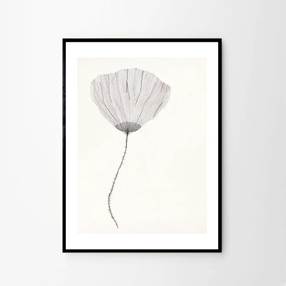 Moikka Plagát Poppy by Ana Frois A4 (21x27cm)