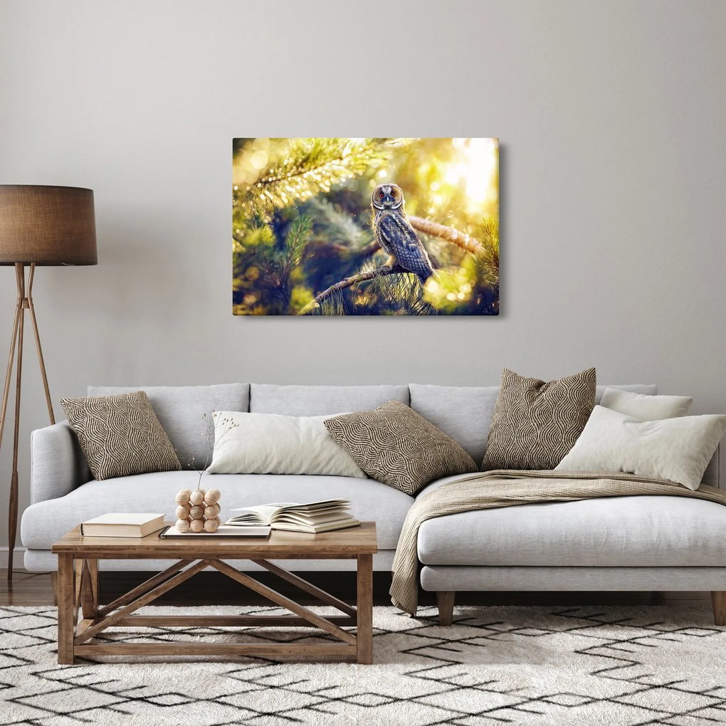 Obraz sovy na strome (90x60 cm)