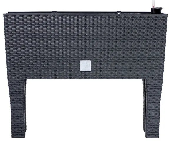 Prosperplast Truhlík so zavlažovacím systémom Rato Case High (antracitová, 80 x 62 x 33 cm (Š x V x H))  (100275859)
