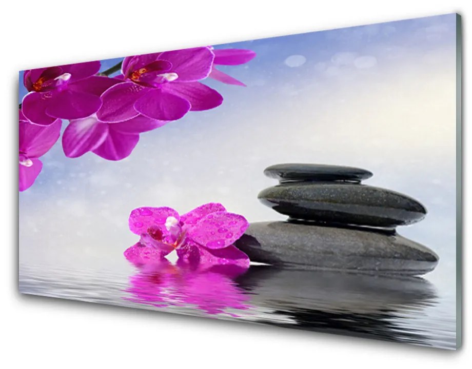 Obraz na akrylátovom skle Kvety kamene rastlina 120x60 cm