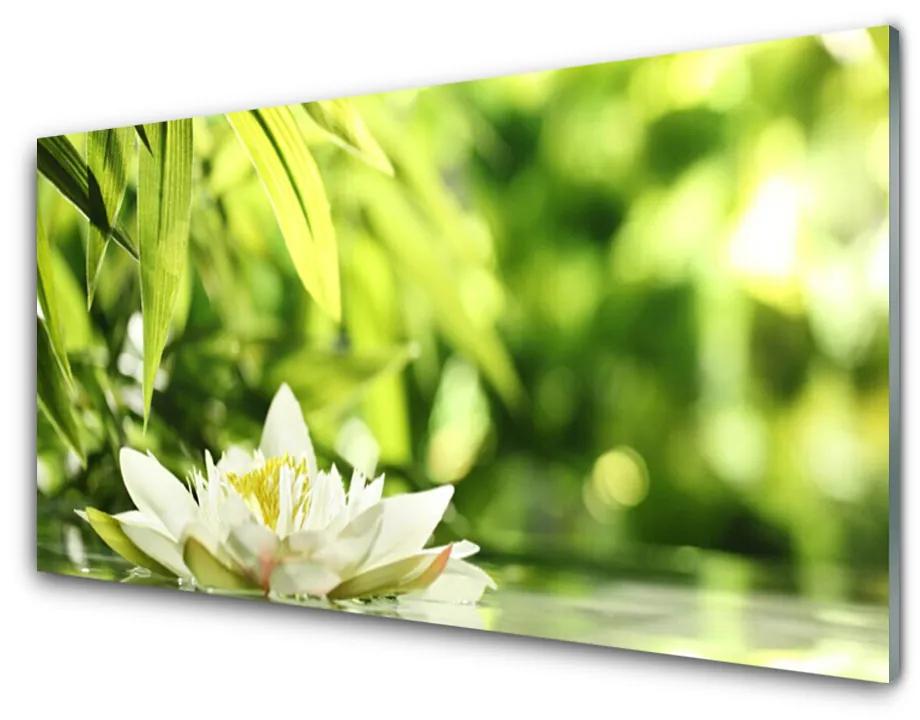 Obraz na skle Kvet listy 120x60 cm