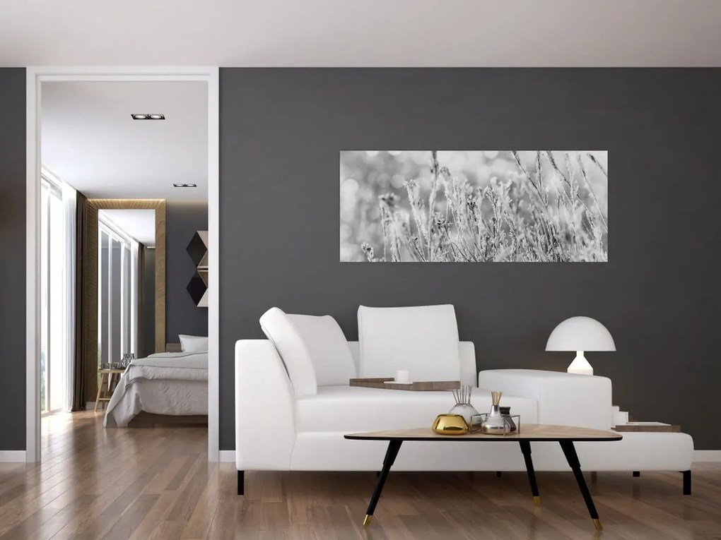 Obraz - Chladná zima (120x50 cm)