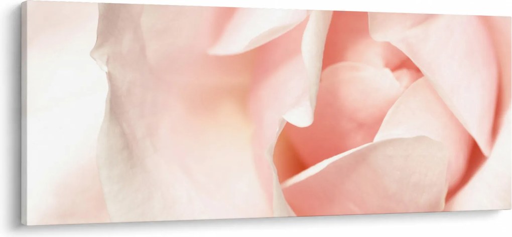 Obraz - Ruže (120x50 cm)