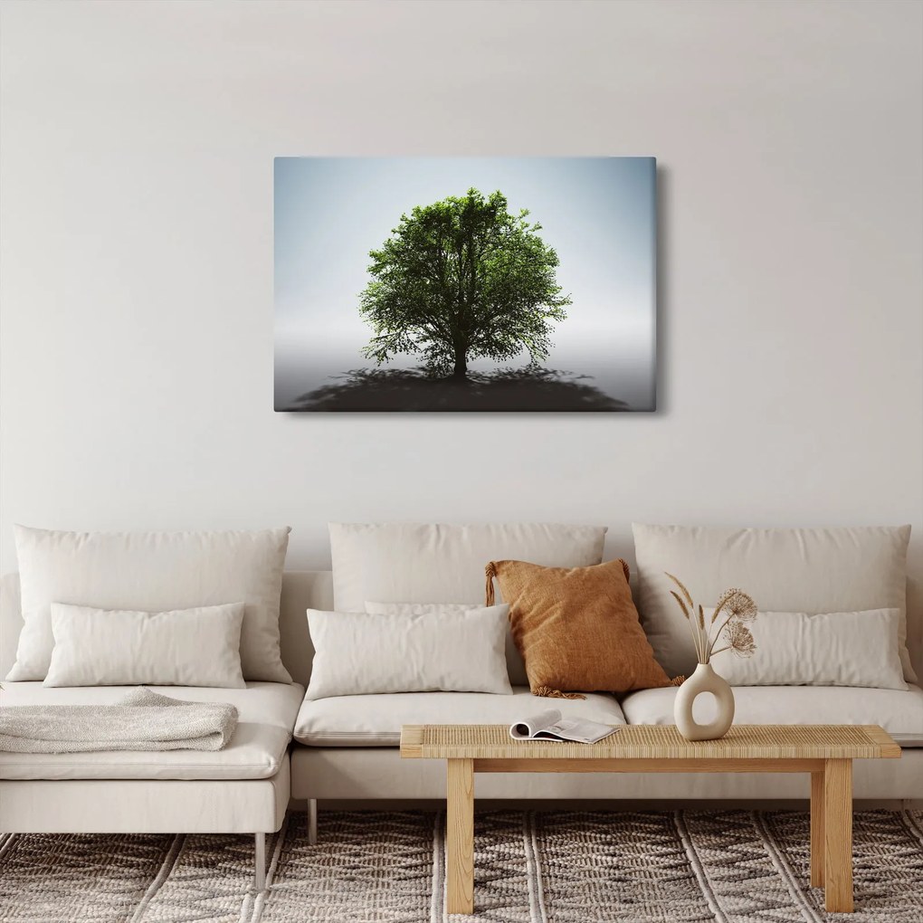 Obraz - Osamotený strom (90x60 cm)
