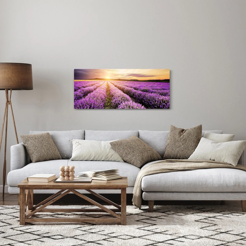 Obraz - Východ slnka v levanduľovom poli (120x50 cm)