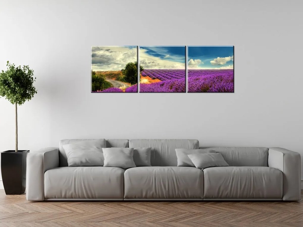 Gario Obraz na plátne Čarovná levanduľová krajina - 3 dielny Rozmery: 90 x 30 cm