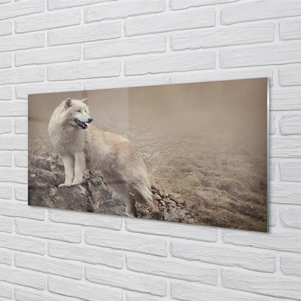 Sklenený obraz vlk hory 125x50 cm