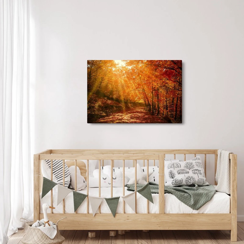 Obraz jesenného lesa (90x60 cm)