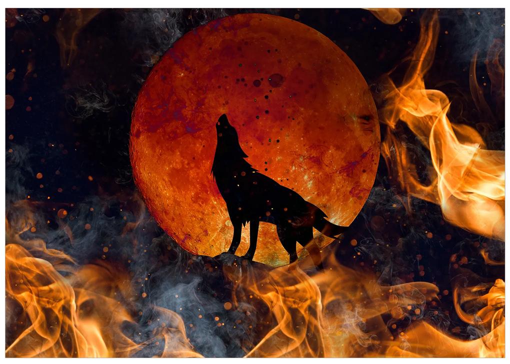 Artgeist Fototapeta - Wolf on Fire Veľkosť: 196x140, Verzia: Samolepiaca