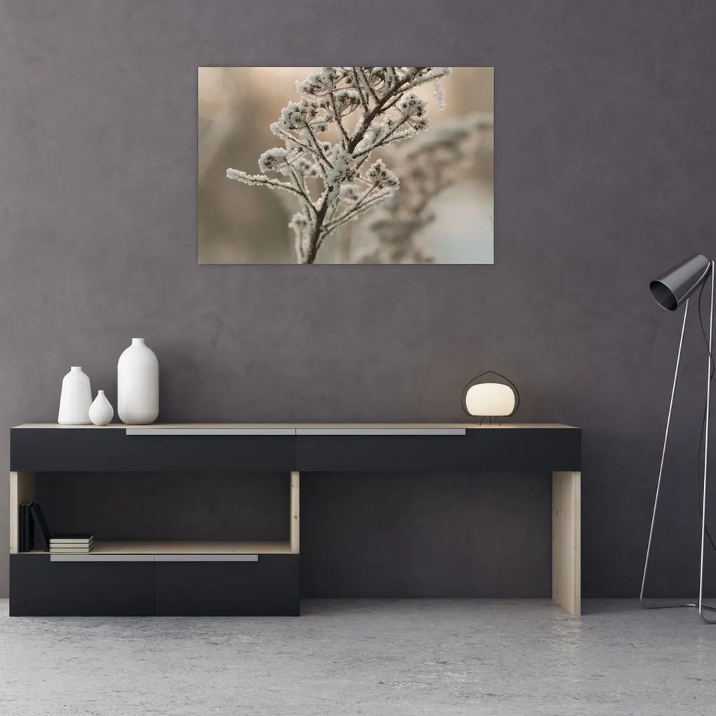 Obraz - Rastlina v mraze (90x60 cm)
