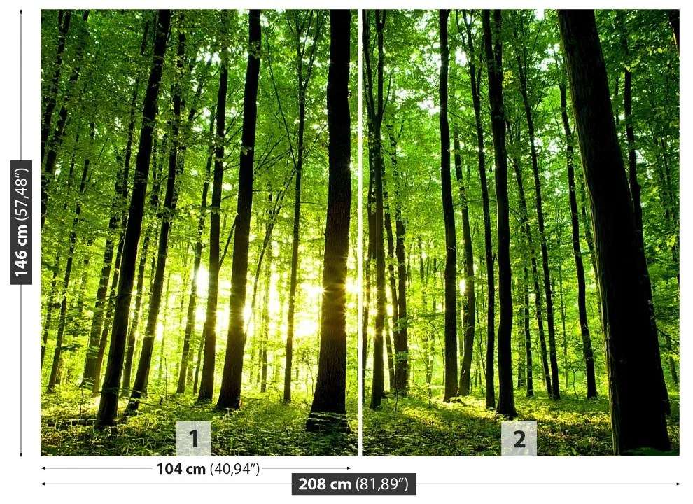 Fototapeta Vliesová Zelený les 152x104 cm