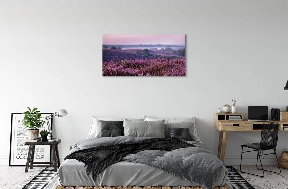 Obraz canvas poľné vresy 125x50 cm