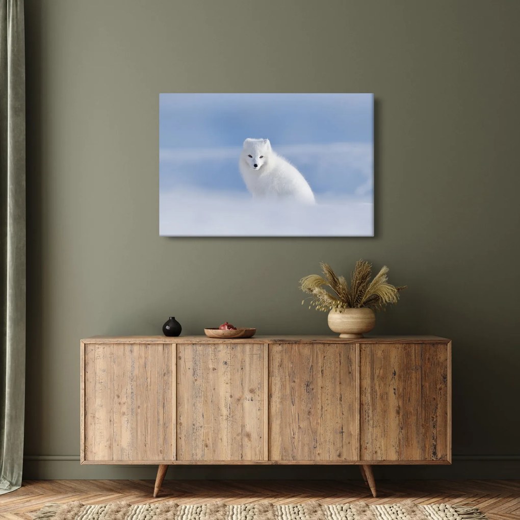 Obraz - Polárna líška (90x60 cm)