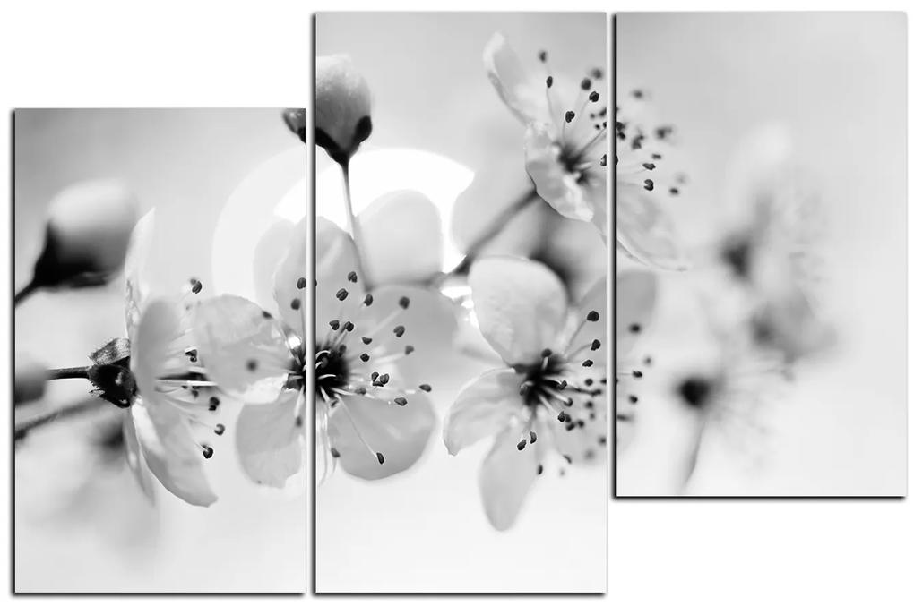 Obraz na plátne - Malé kvety na vetve 1173QD (150x100 cm)