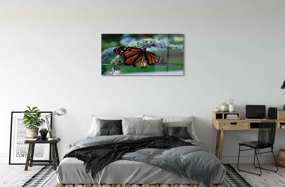 Obraz na akrylátovom skle Motýľ na kvetine 100x50 cm