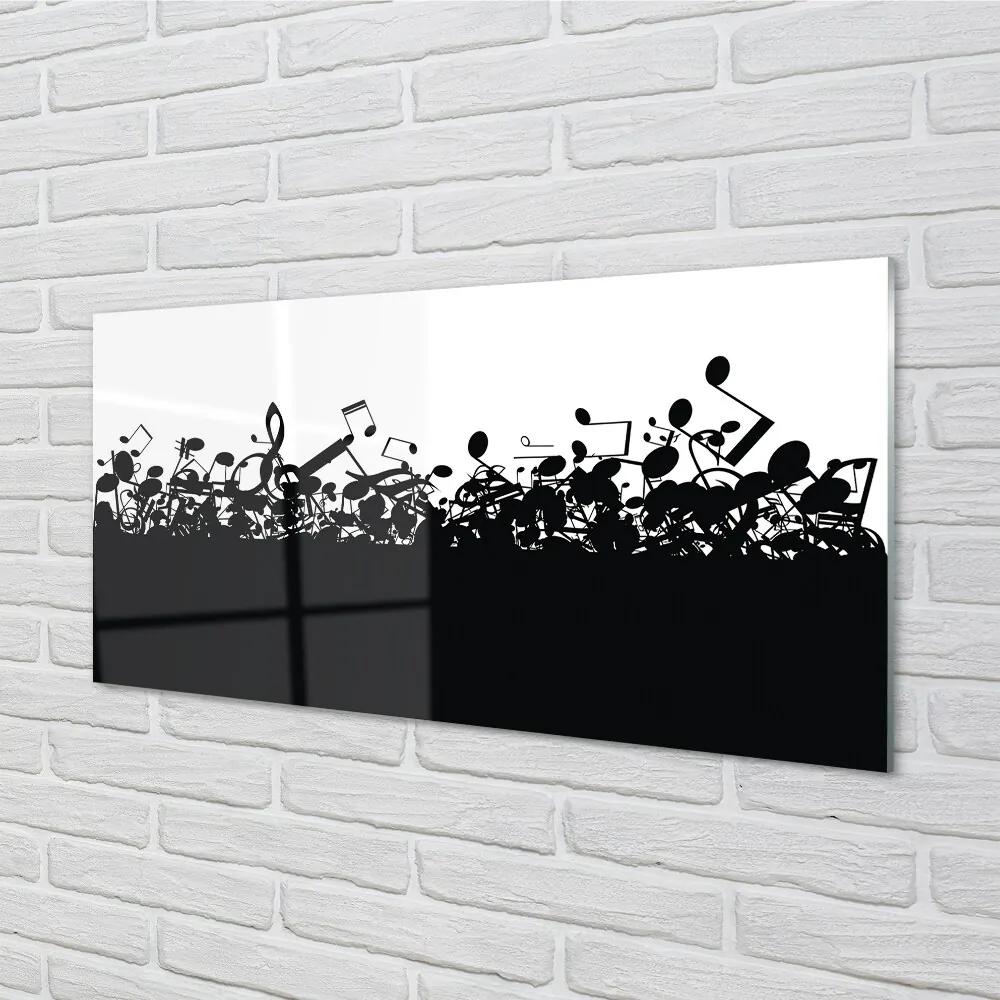 Obraz na skle Čierna a biela poznámky 100x50 cm