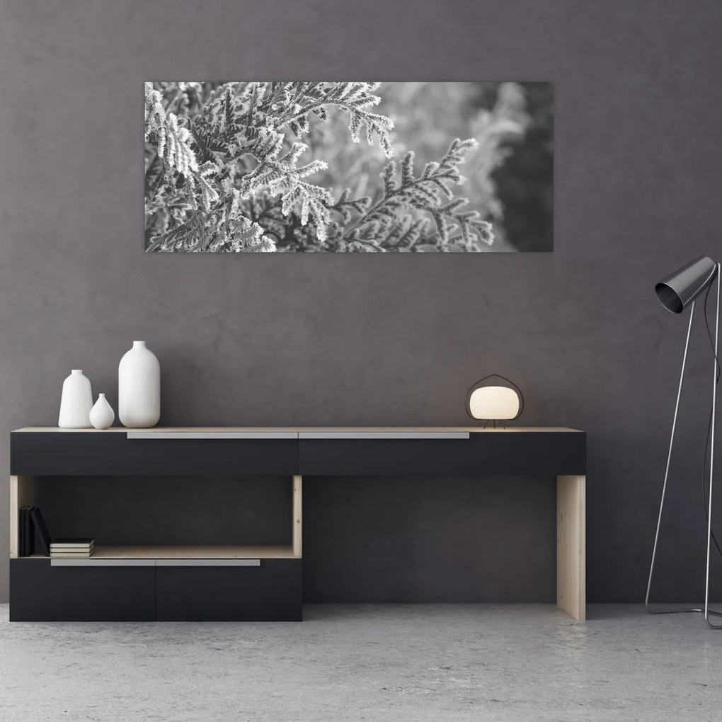 Obraz - Smrekový les (120x50 cm)
