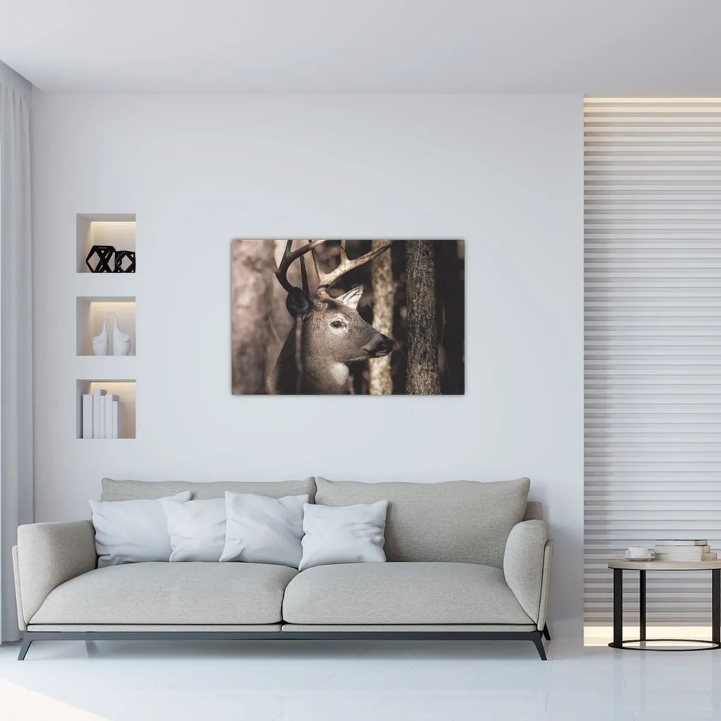 Obraz - Jeleň v lese (90x60 cm)