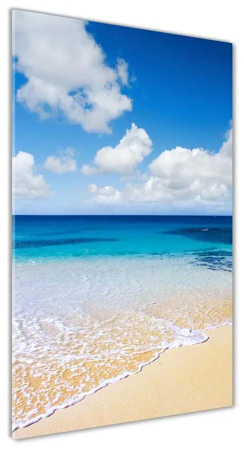 Foto obraz akrylové sklo Tropická pláž pl-oa-70x140-f-11574570