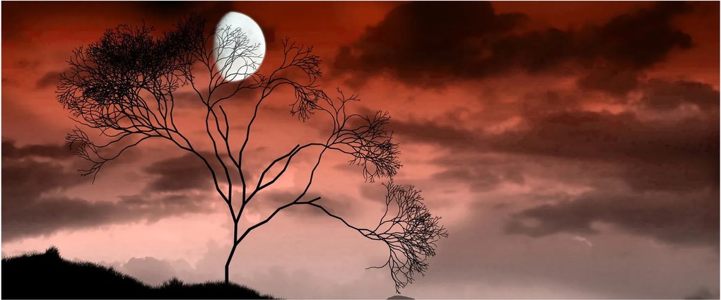 Obraz - Mesiac osvetľujúce noc (120x50 cm)