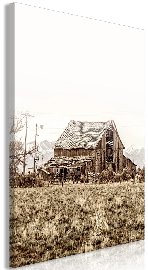 Artgeist Obraz - Abandoned Ranch (1 Part) Vertical Veľkosť: 60x90, Verzia: Premium Print