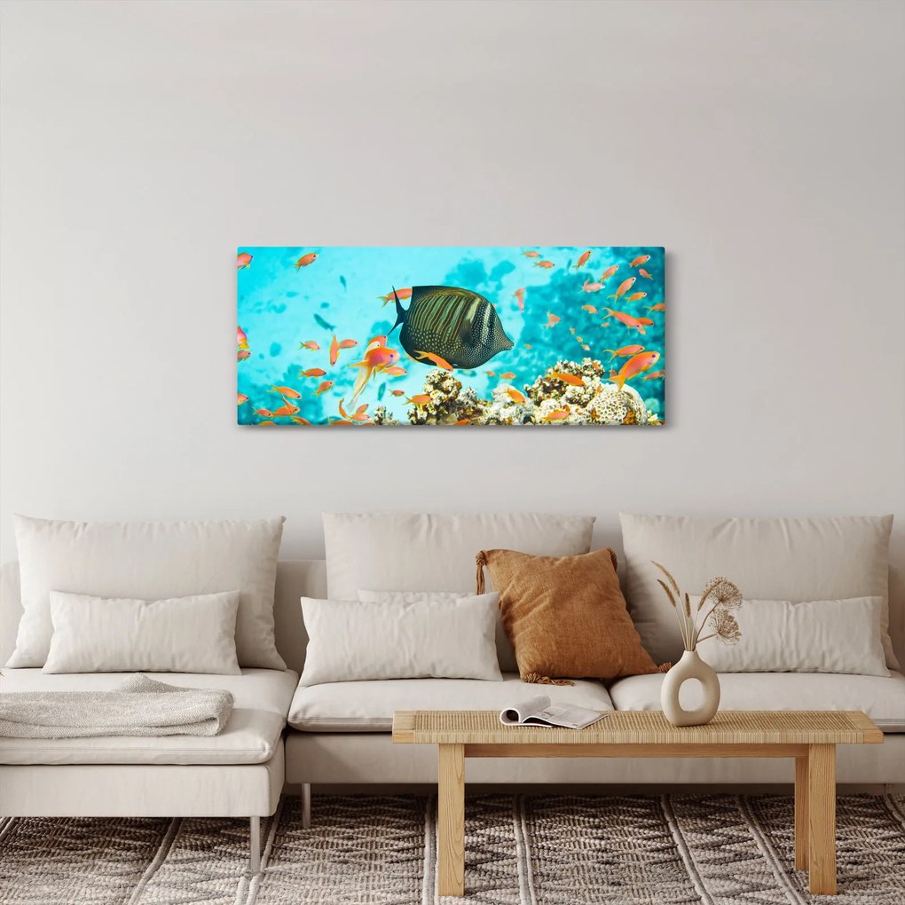 Obraz podmorského sveta (120x50 cm)