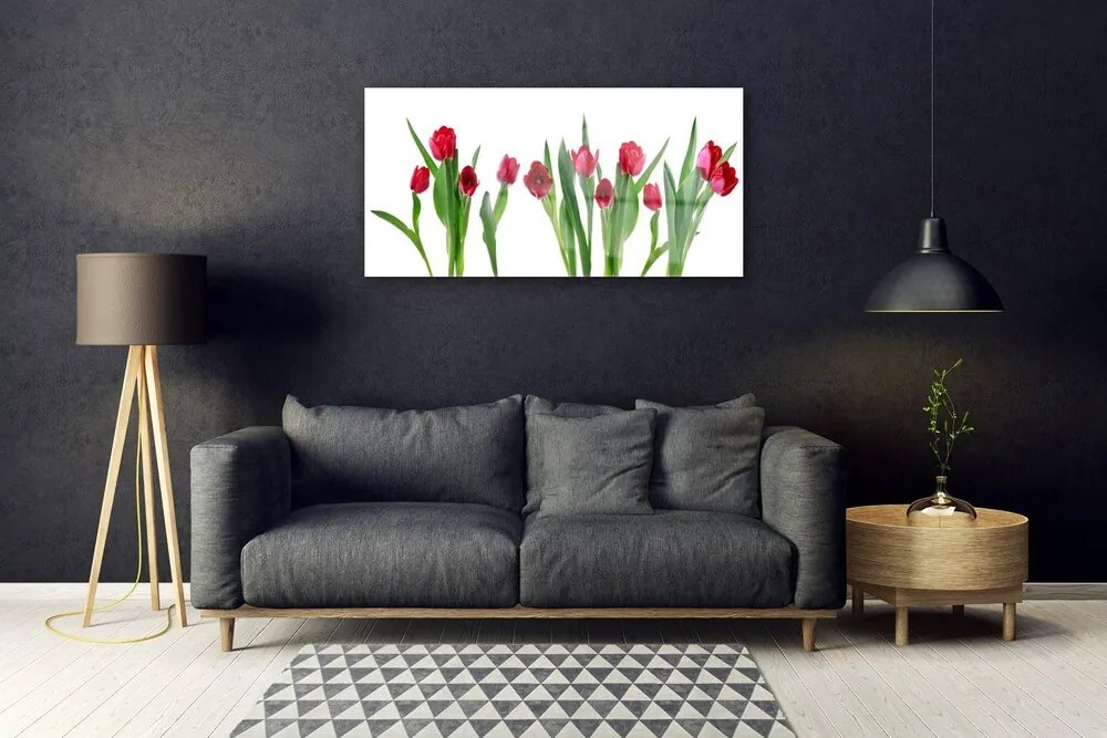 Skleneny obraz Tulipány kvety rastlina 100x50 cm