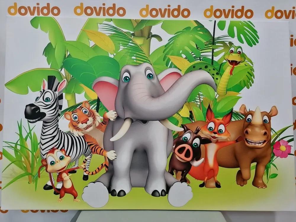 Obraz zvieratká z džungle - 60x40