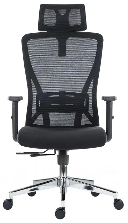 Kancelárska ergonomická stolička Neoseat FLEX PRO — čierna, nosnosť 150 kg