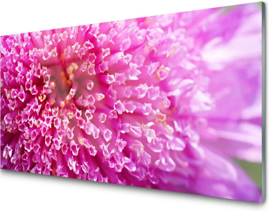 Obraz na akrylátovom skle sklenený Kvet