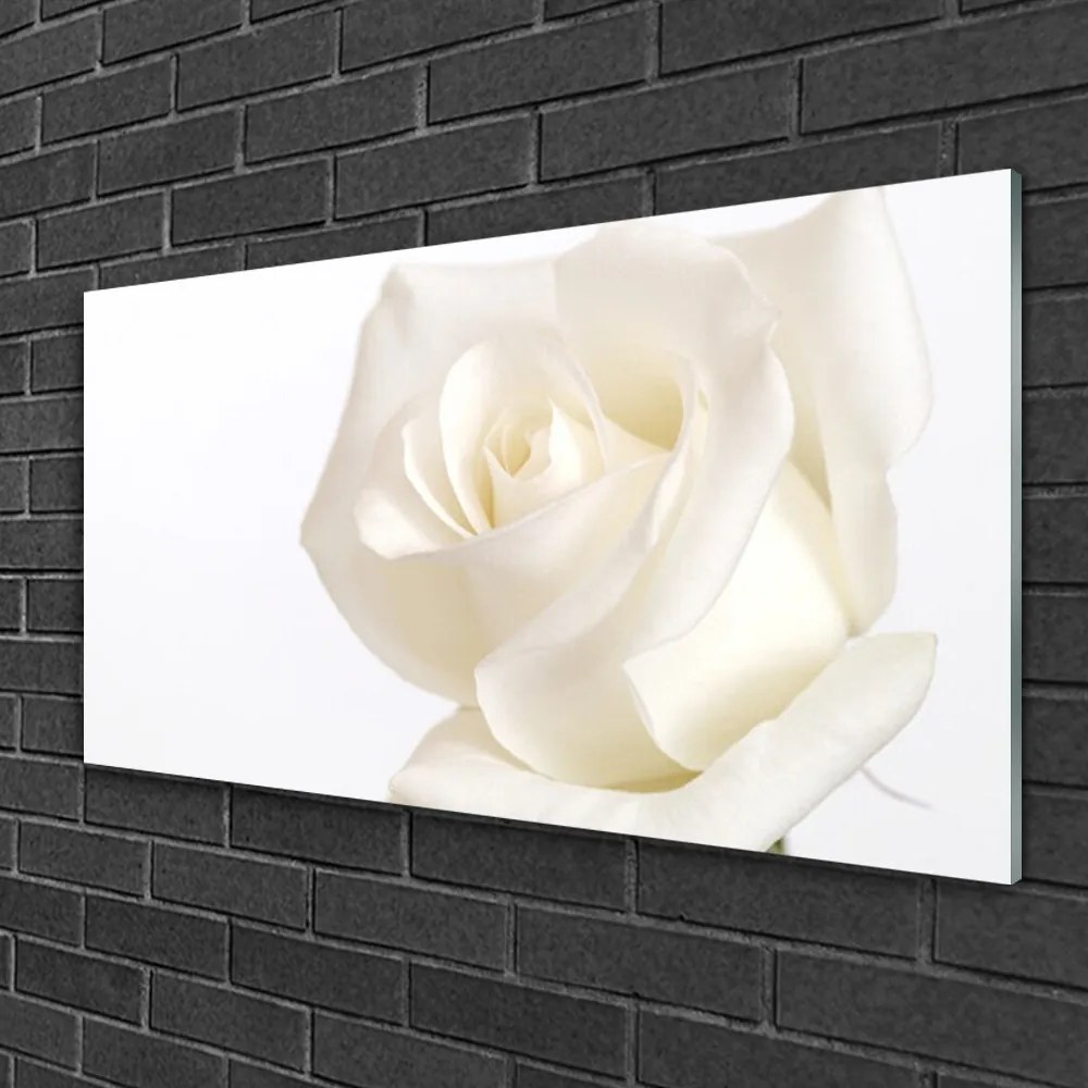 Skleneny obraz Ruže kvety 125x50 cm