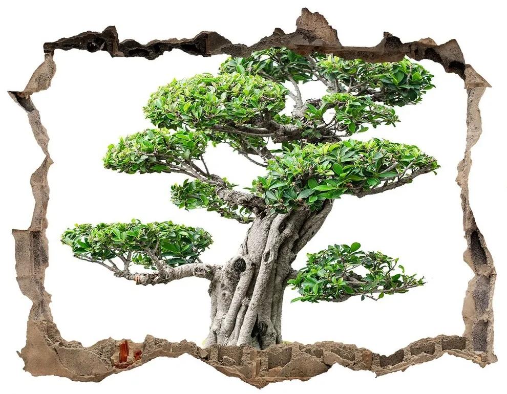 Samolepící díra na stěnu Bonsai strom nd-k-88907159