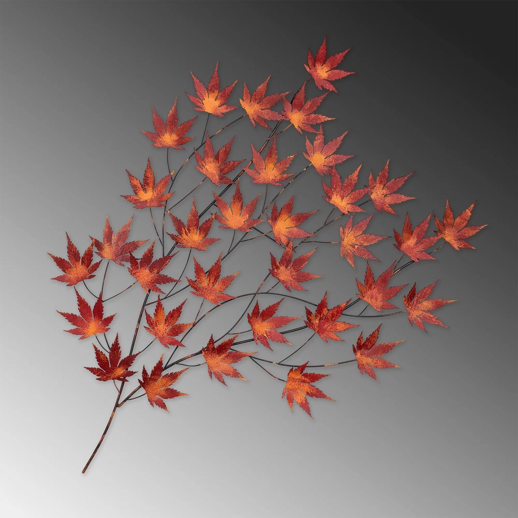 Acer Palmatum