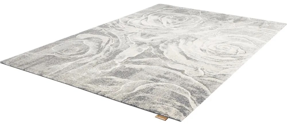 Sivý vlnený koberec 160x240 cm Ros – Agnella