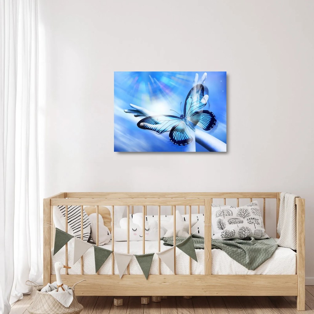 Sklenený obraz - Motýľ, symbol nádeje (70x50 cm)
