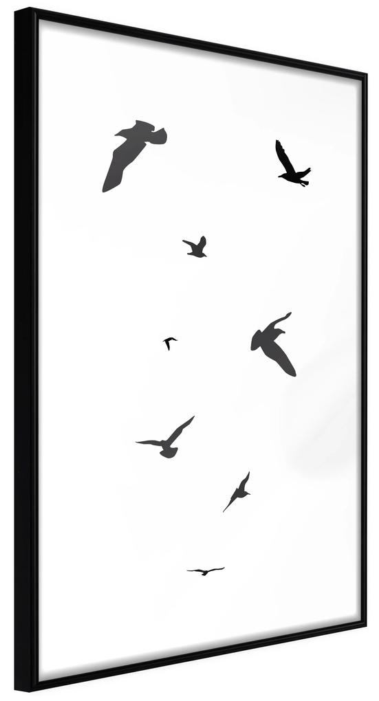 Artgeist Plagát - Evening Flight [Poster] Veľkosť: 20x30, Verzia: Čierny rám s passe-partout