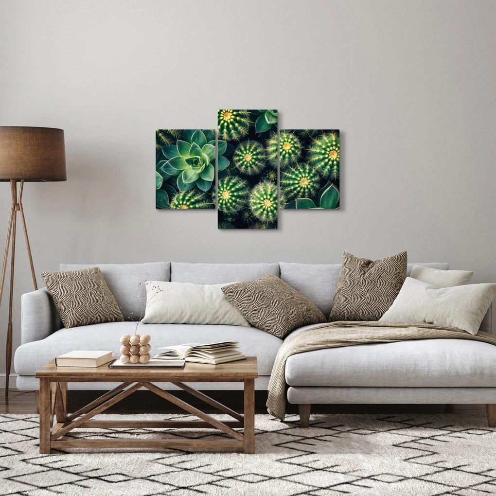 Obraz - Kaktusy (90x60 cm)