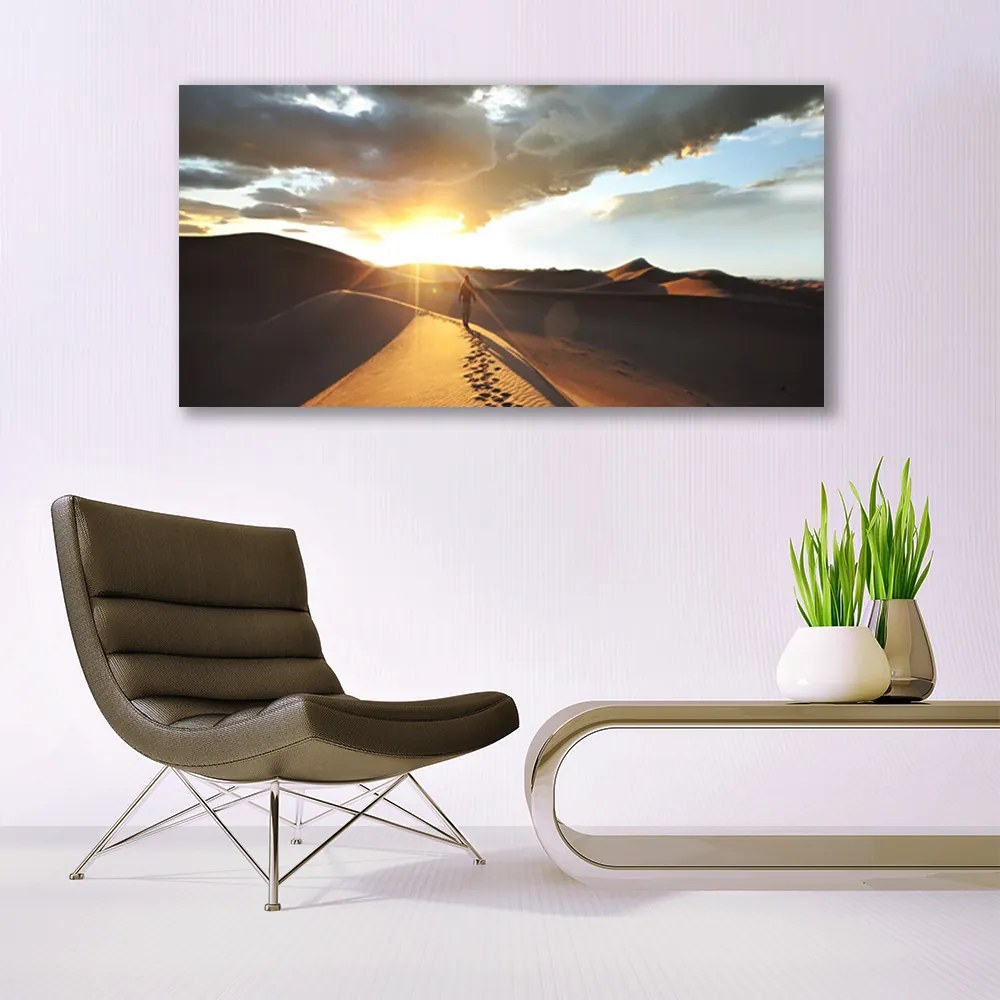 Obraz plexi Púšť krajina 120x60 cm