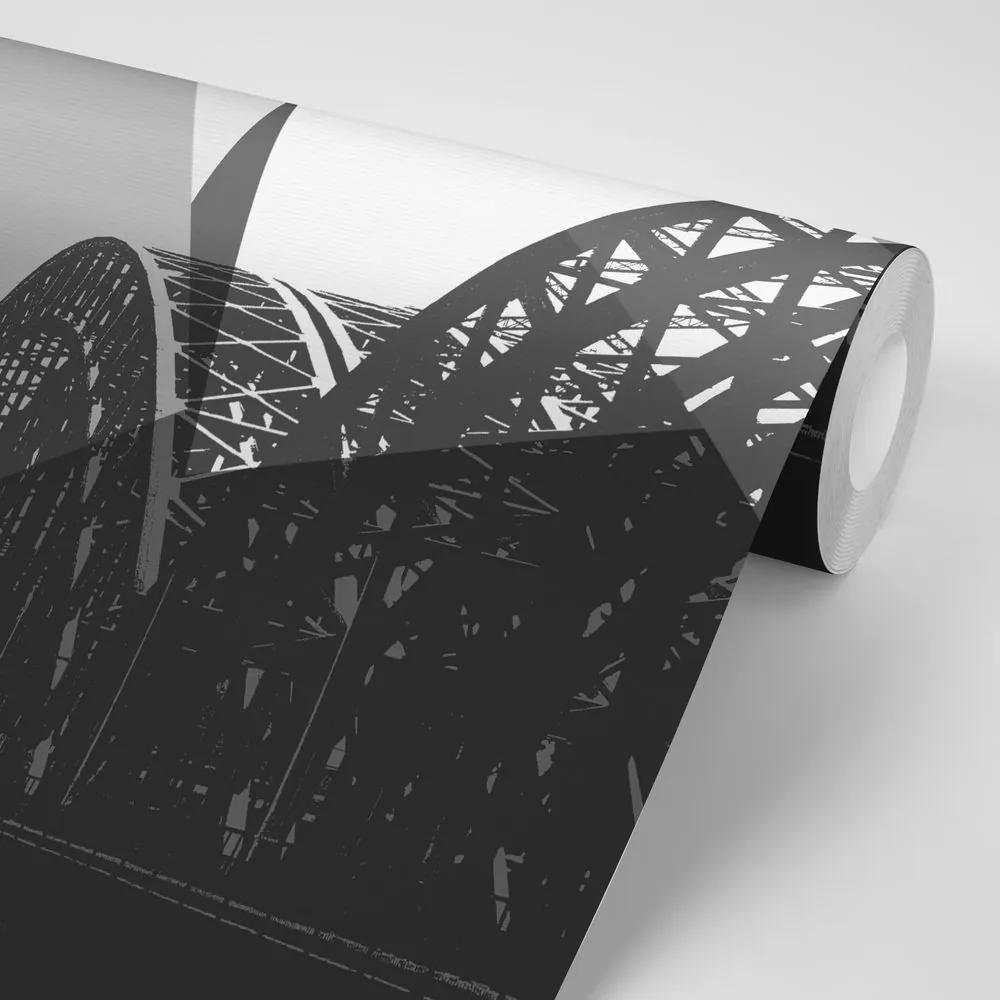 Samolepiaca tapeta čiernobiela ilustrácia mesta Kolín - 450x300