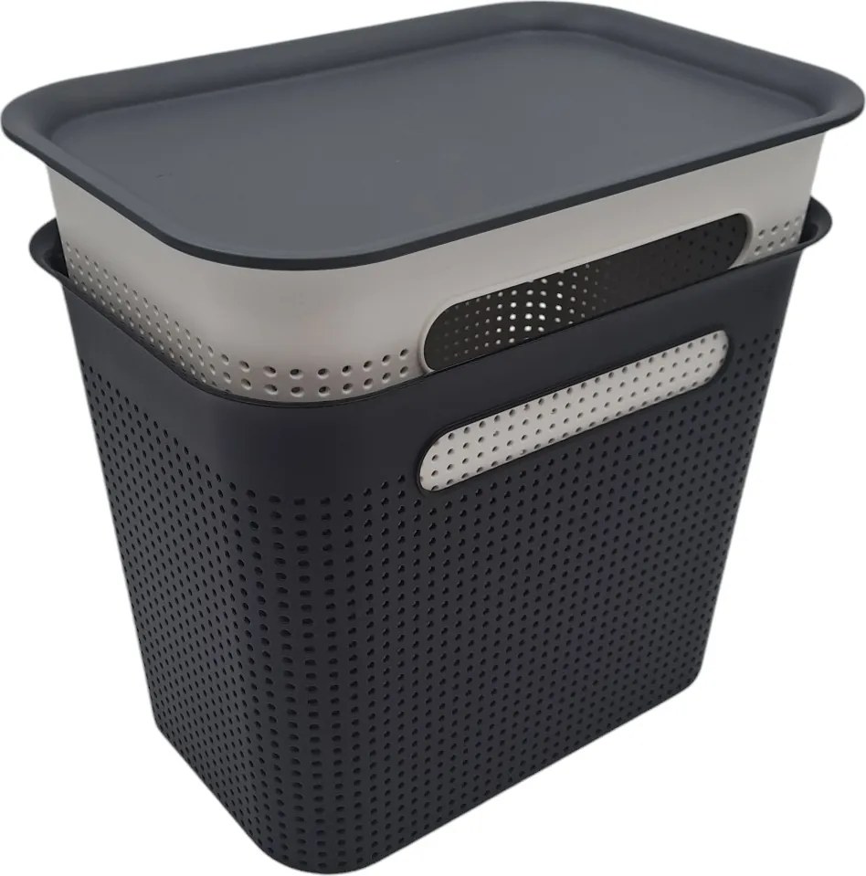 Rotho Úložný box s vekom a s držadlami BRISEN 7l, 26x18x21cm, biely