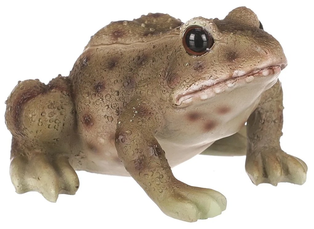 Záhradná dekorácia Žaba, 10 x 6 x 8 cm, polyresin