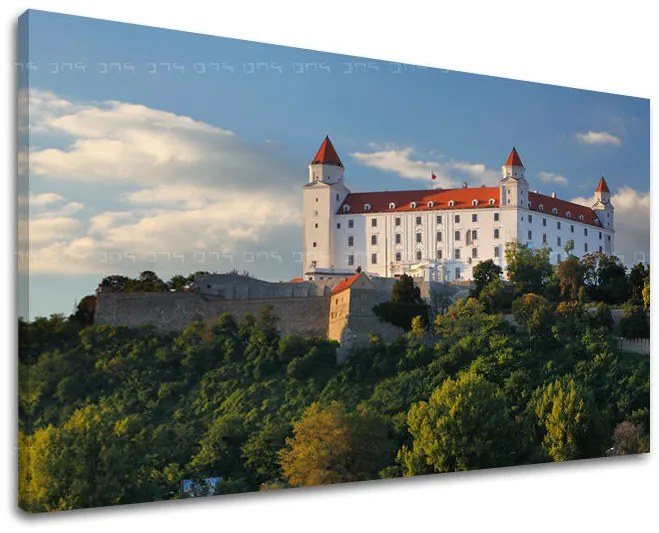 Obraz na stenu SLOVENSKO | rôzne rozmery