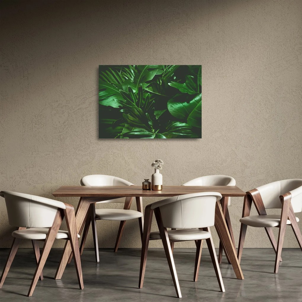 Sklenený obraz - Palmové listy (70x50 cm)
