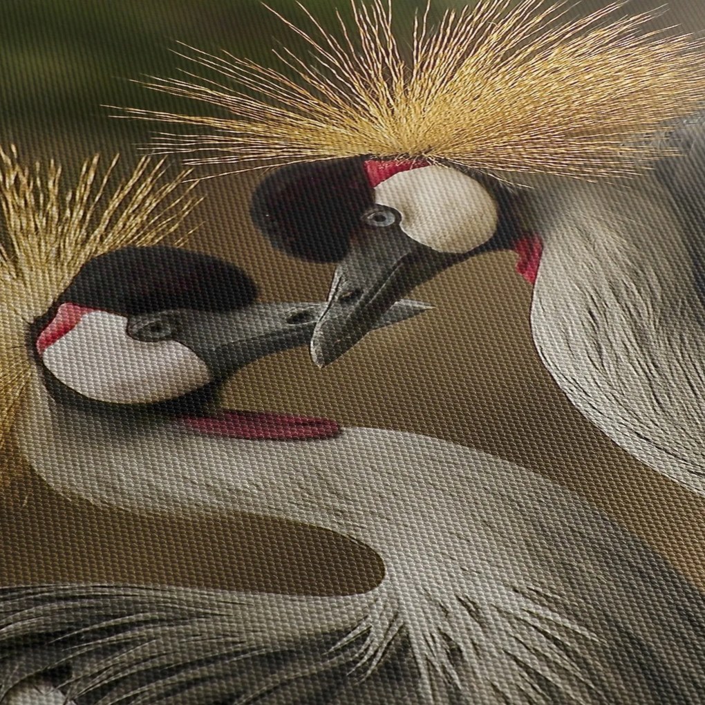 Obraz vtákov (90x60 cm)