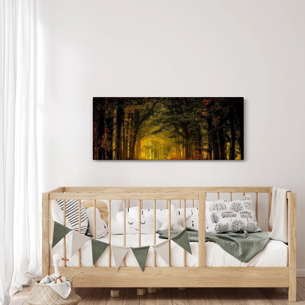 Obraz lesu (120x50 cm)